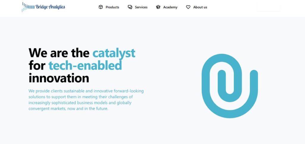 Bridge Analytics - Data Analytics Companies in India 