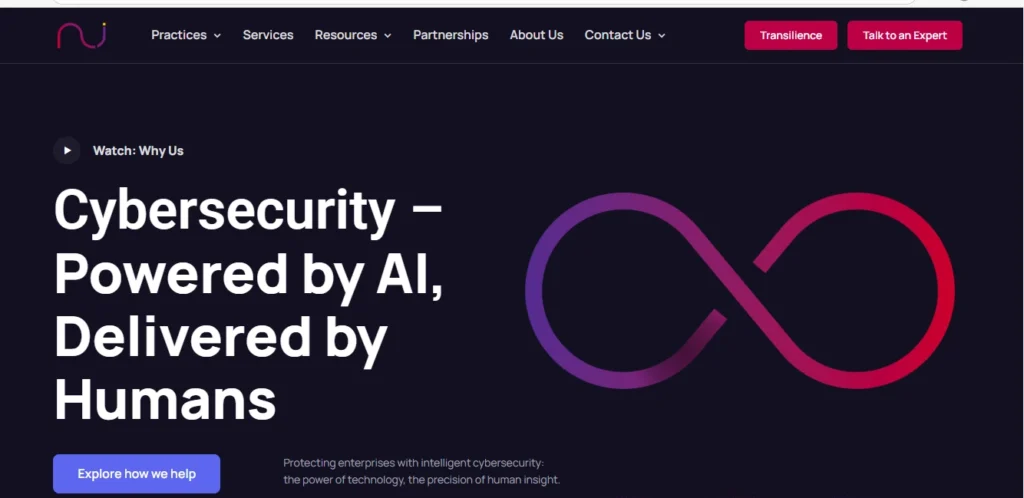 Top Cybersecurity Company in India: Network Intelligence (NII)