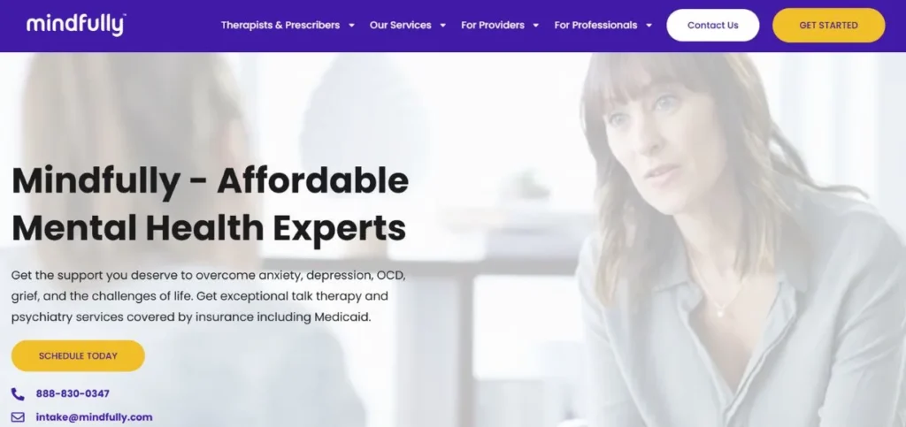 Mindfully-HubSpot Agencies