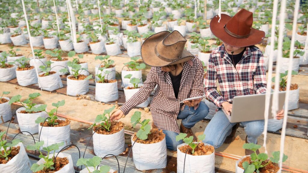 Money-Making Agriculture Business Ideas in India