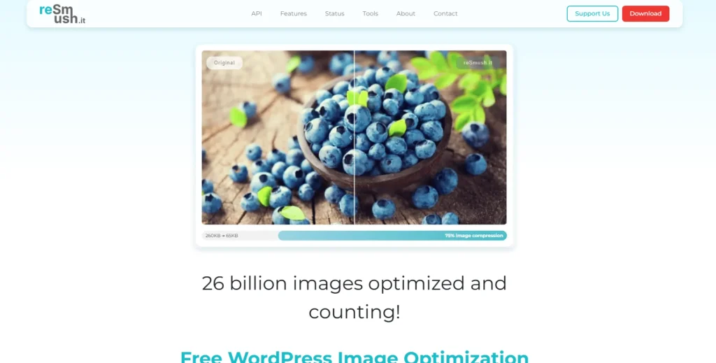 reSmush.it-Image Optimization Plugins for WordPress