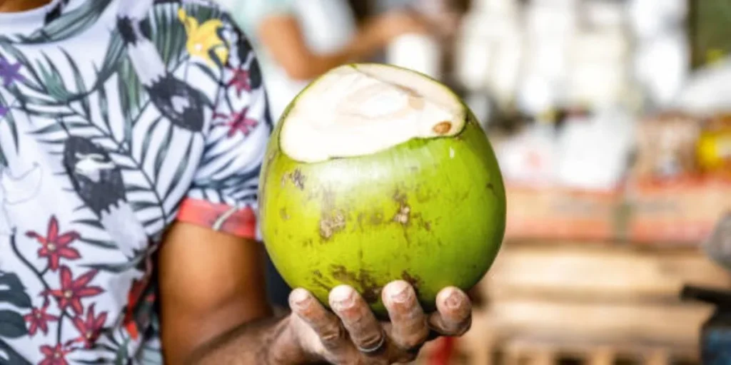 Tender Coconut Vending - Coconut Business Ideas