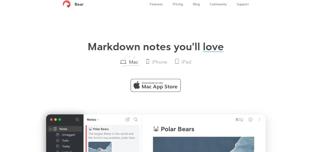 Note-Taking Apps for iPad-Bear