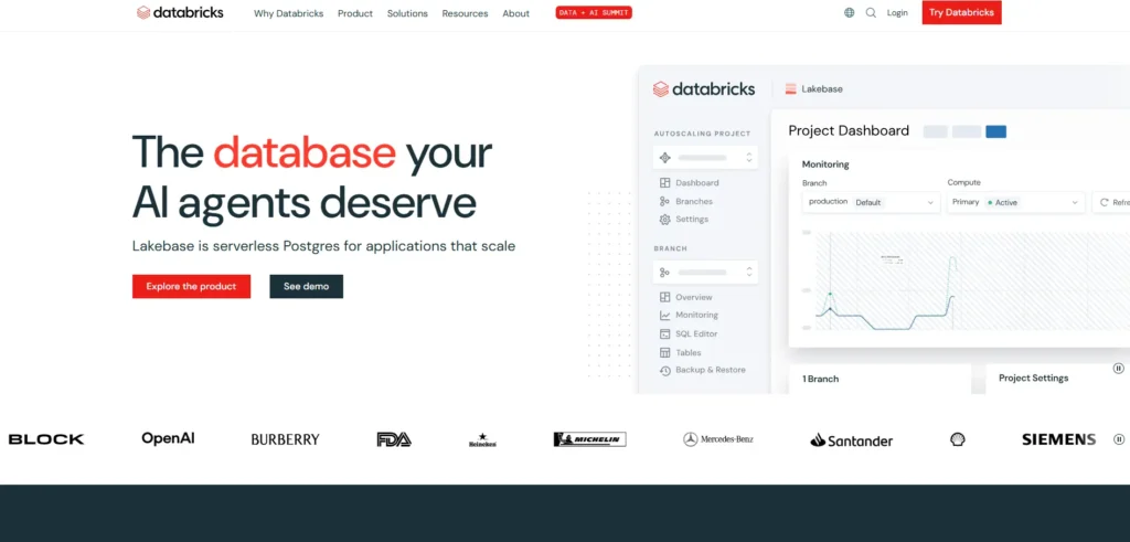 Data Analytics Software-Databricks