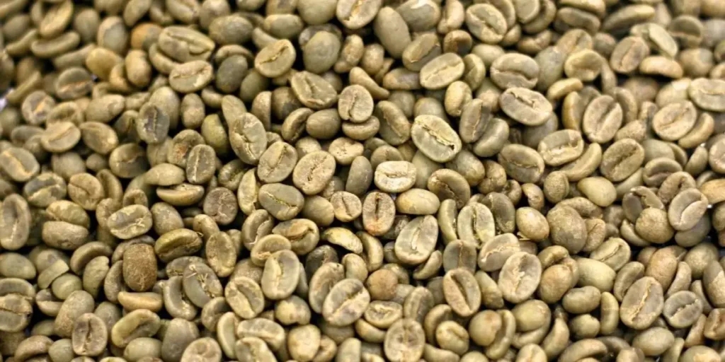 Guatemala Huehuetenango Coffee - Most Expensive Coffee in the World