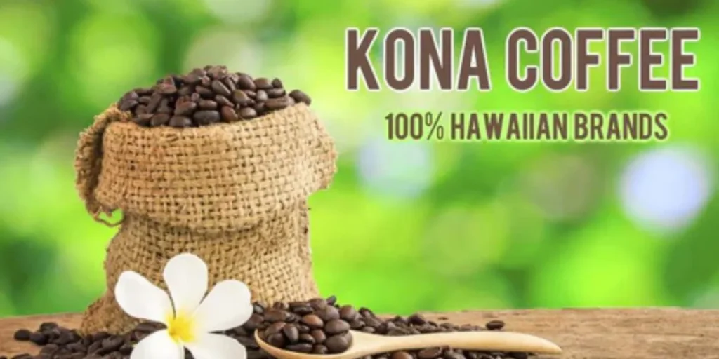 Kona Coffee - Most Expensive Coffee in the World