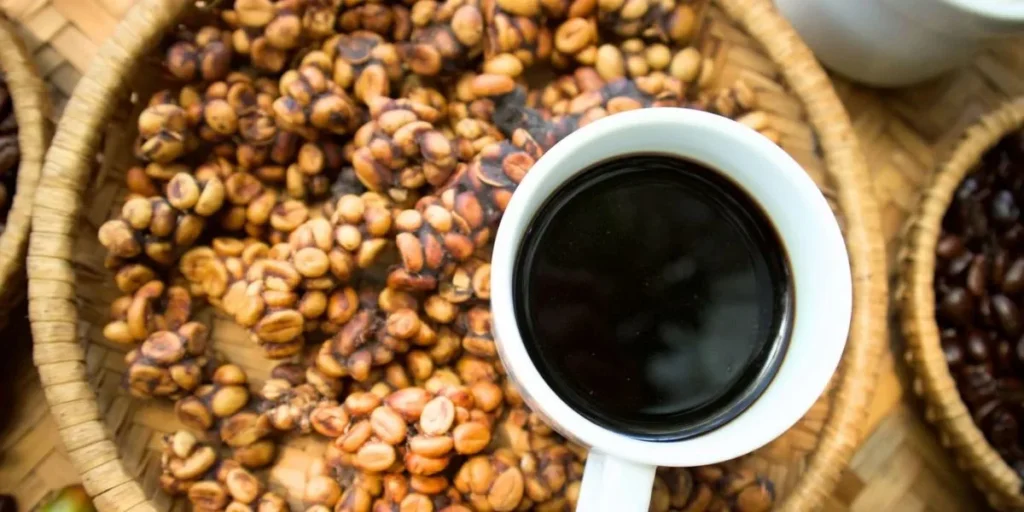 Kopi Luwak Coffee - Most Expensive Coffee in the World