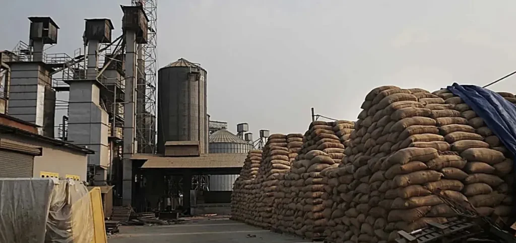 Business Ideas in Punjab - Rice Sheller Rice Mill