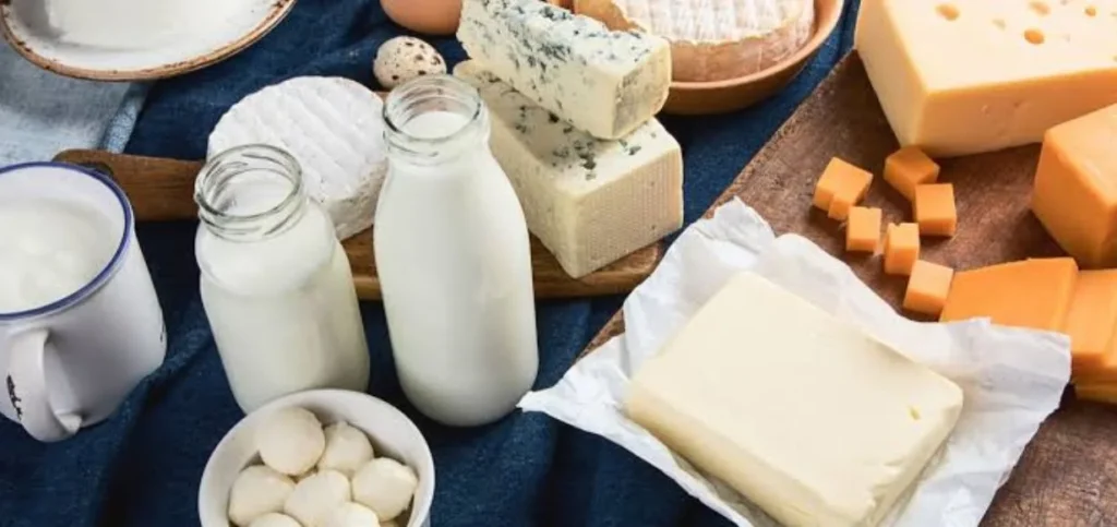 Dairy Farming & Milk Products - Business Ideas in Bihar
