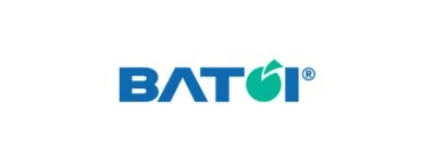 IT Companies in Bhubaneswar - Batoi Systems
