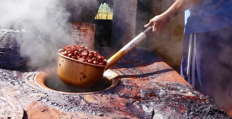 Business Ideas in Assam - Areca Nut Processing