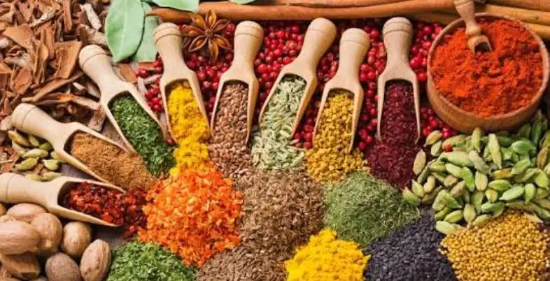 Business Ideas in Assam - Tea & Spice Exports