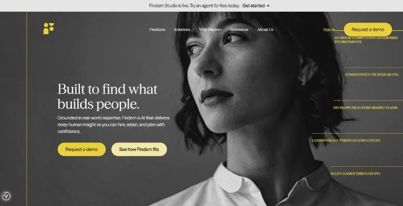 LinkedIn Alternatives - Findem