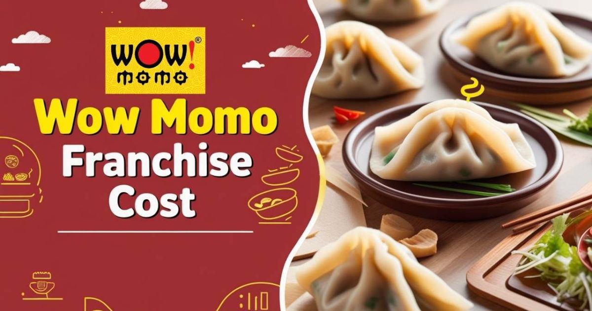 Wow Momo Franchise Cost